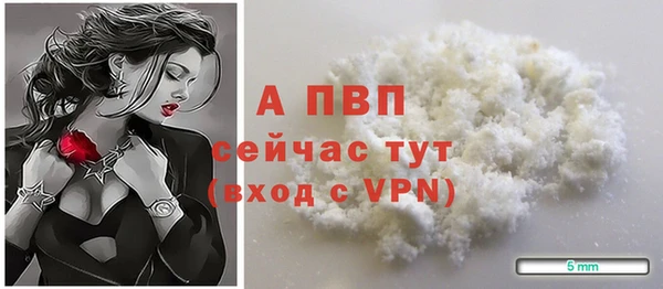 сатива Армянск