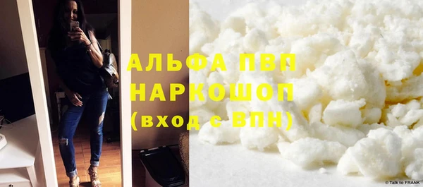 индика Арсеньев