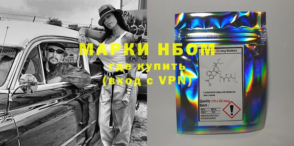 стаф Аркадак
