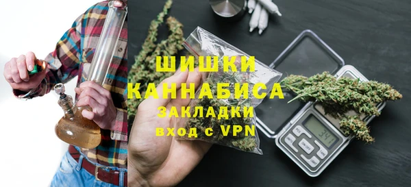 индика Арсеньев