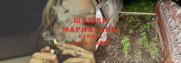 индика Арсеньев