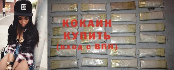 стаф Аркадак