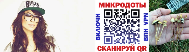 кракен вход  Козьмодемьянск  Псилоцибиновые грибы MAGIC MUSHROOMS 